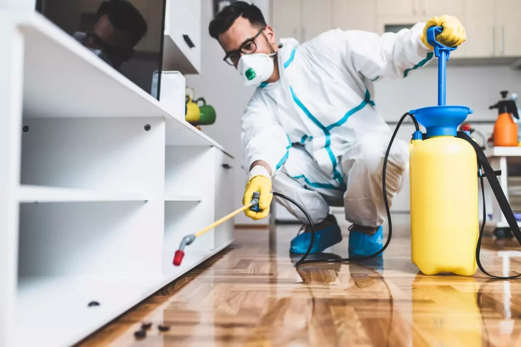 Pest Control Sunshine Coast